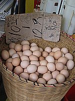 local eggs?